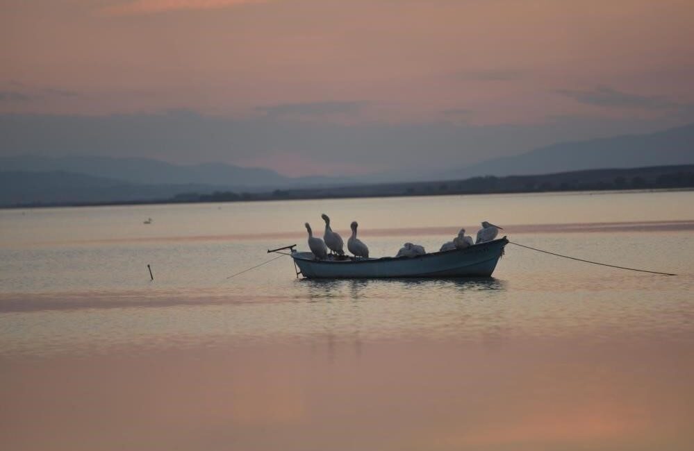 Bursa'nın Karacabey ilçesinde, Manyas Barajı ve Gölü'ndeki su seviyelerinin düşmesi