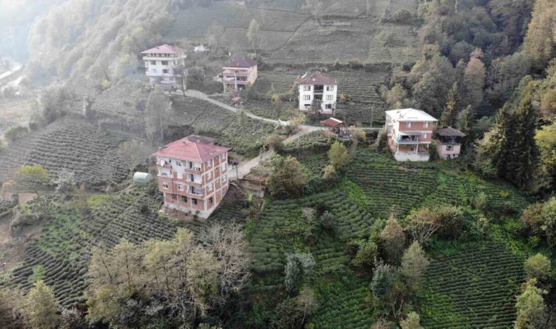 Doğu Karadeniz’deki sıvasız yapılar, mimari estetiği bozarak enerji verimliliğini olumsuz etkiliyor Doğu Karadeniz'de sıvasız tuğla yapılar, bölgenin turizm imajını olumsuz etkilerken