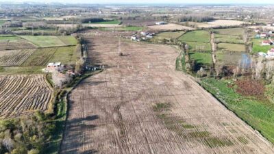 Samsun’un Tekkeköy ilçesinde, 100 dönüm arazide mor patlıcan inciri yetiştiriliyor.