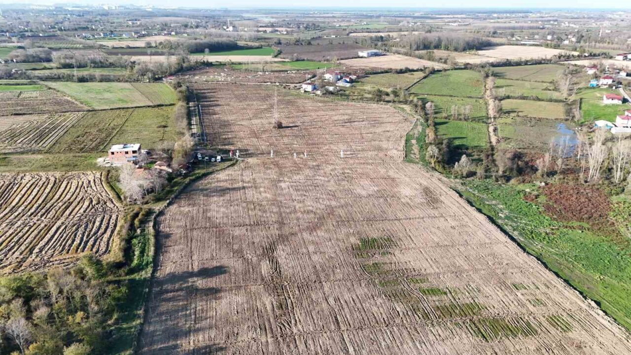 Samsun’da 100 Dönümlük İncir Bahçesi ile Genç Kızların Eğitimi Desteklenecek