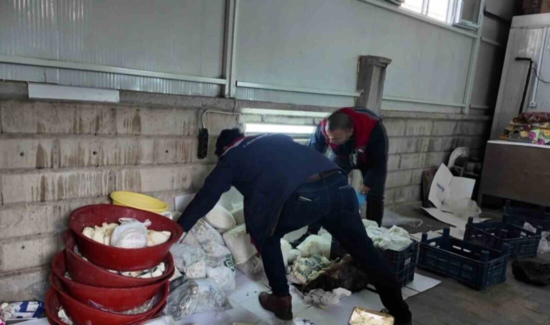 Karaman'da bir evin bodrumunda 2.424 kilogram peynir ve tereyağı, gıda