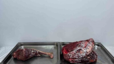 Karaman’da jandarmanın gerçekleştirdiği denetimlerde, uyuşturucu ve ruhsatsız silahlar ele geçirildi.