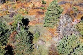 Kastamonu’da Dron ile Tespit Edilen 4 Kaçak Avcıya Yasal İşlem Yapıldı, 3 Tüfek Ele Geçirildi