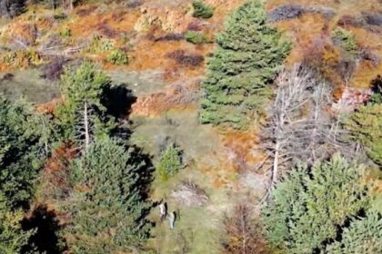 Kastamonu’da Dron ile Tespit Edilen 4 Kaçak Avcıya Yasal İşlem Yapıldı, 3 Tüfek Ele Geçirildi