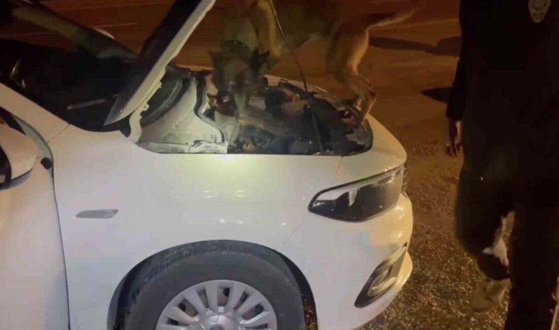 Kastamonu’daki uyuşturucu operasyonunda 5 kişi tutuklandı Kastamonu'da düzenlenen operasyonda, narkotik ekiplerinin durdurduğu iki araçta uyuşturucu maddeler