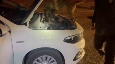 Kastamonu'da düzenlenen operasyonda, narkotik ekiplerinin durdurduğu iki araçta uyuşturucu maddeler