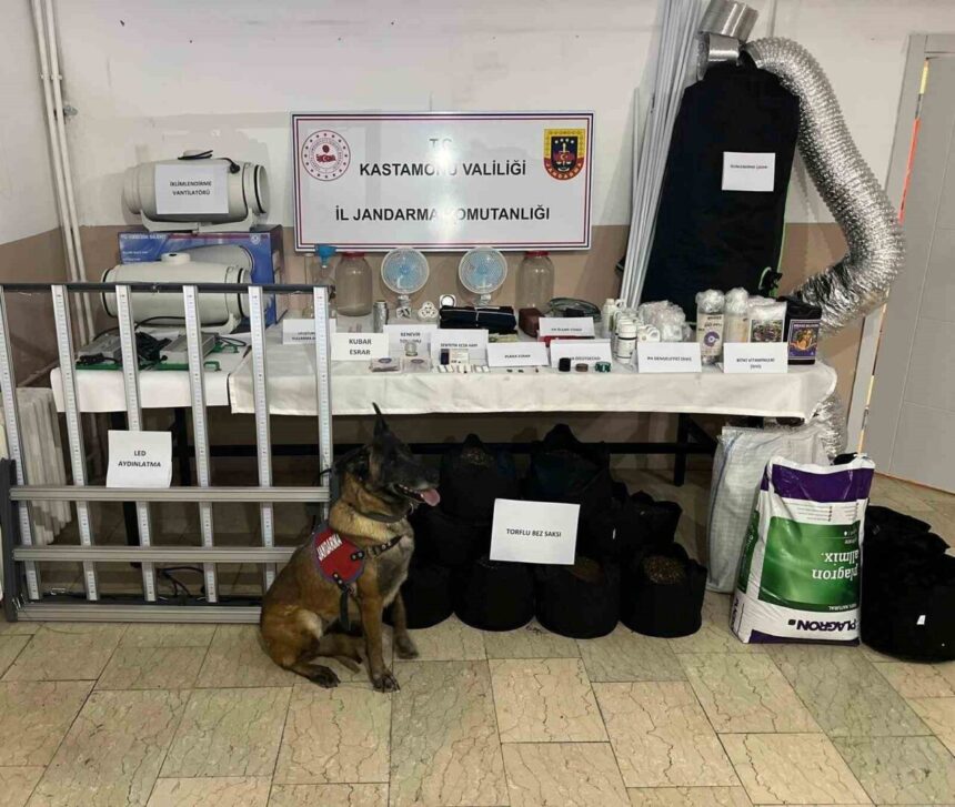 Kastamonu’da jandarma tarafından düzenlenen uyuşturucu operasyonlarında 6 kişi gözaltına alındı.