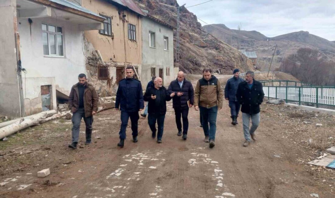 Aydıntepe Kaymakamı Ertuğrul Bayram, Pınargözü ve Alaca köylerini ziyaret ederek