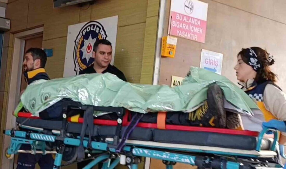 Bursa'nın İnegöl ilçesine bağlı Ortaköy Mahallesi'nde Adem S. (59) yönetimindeki