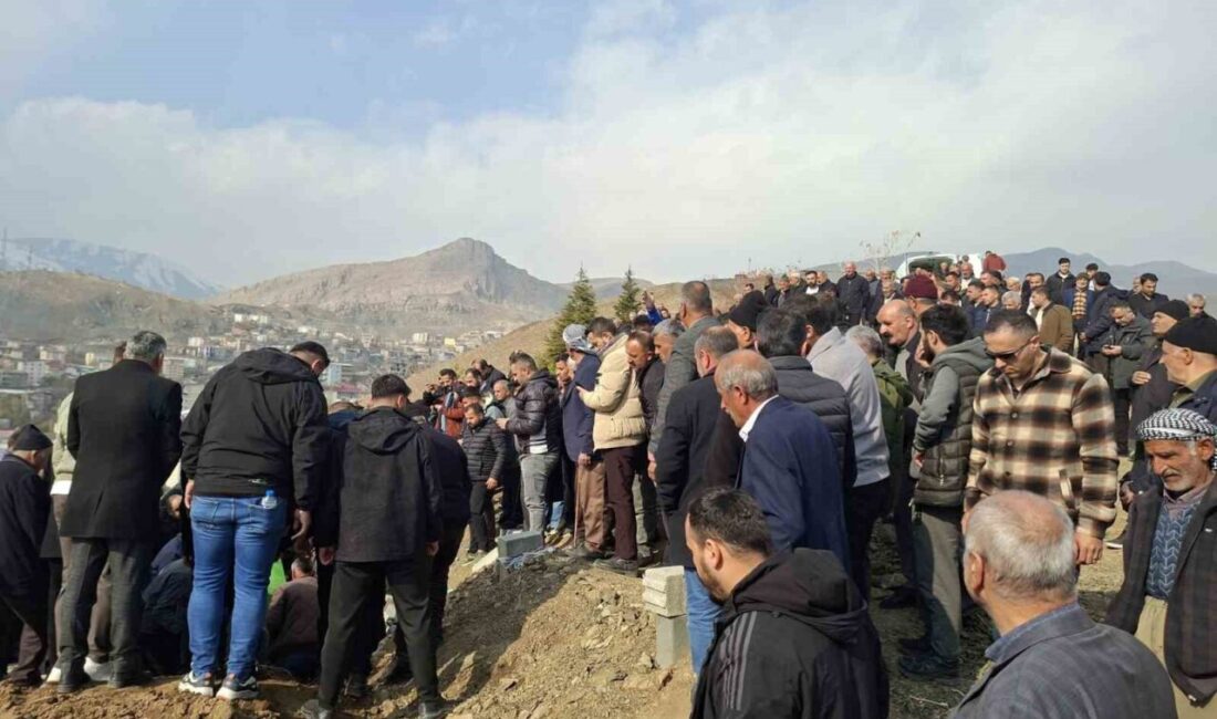 Van-Hakkari karayolunda meydana gelen kazada hayatını kaybeden gençler Cihat Durna,