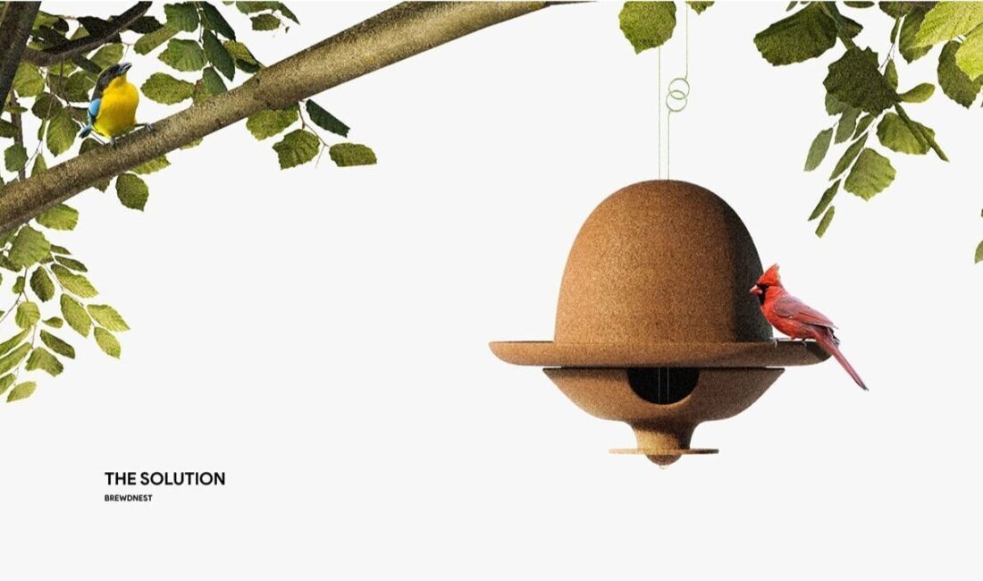 Karabük Üniversitesi mezunu Yılmaz Salman, kahve atıklarını kuş yuvalarına dönüştüren