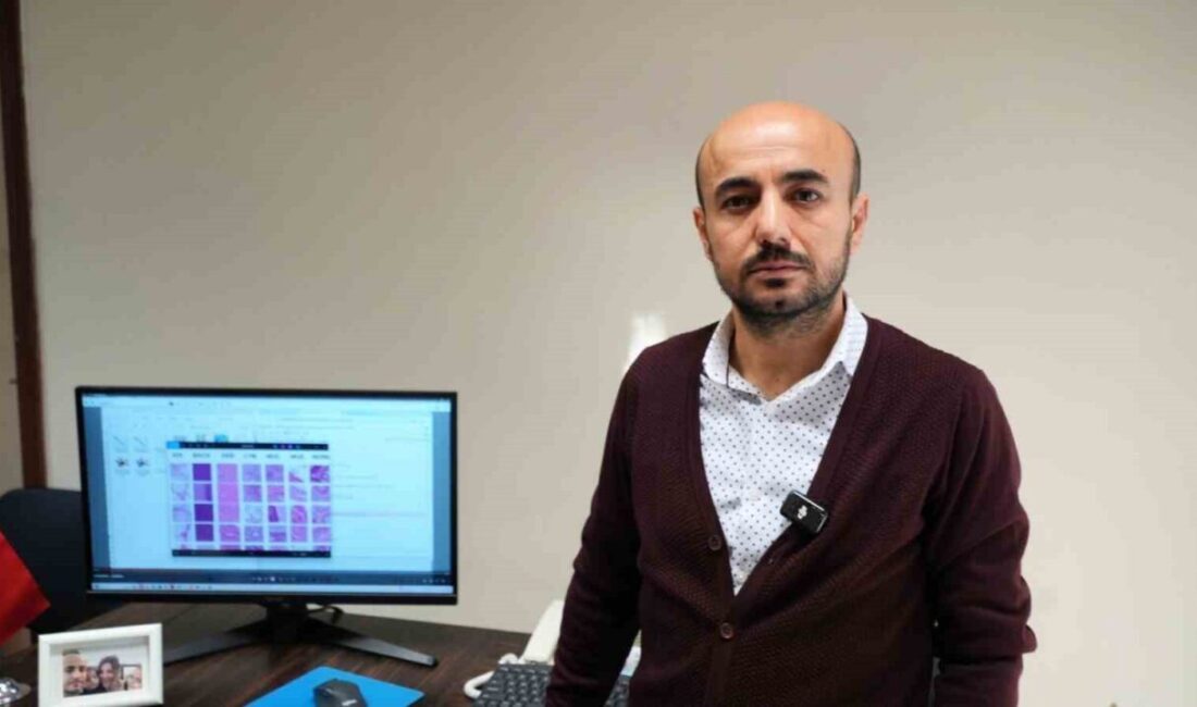 Karabük Üniversitesi ile Kentucky Üniversitesi iş birliğinde yürütülen proje, kolon