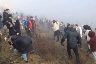 Karabük Üniversitesi’nde 250 Gönüllü Genç, 500 Fidanı Toprakla Buluşturdu