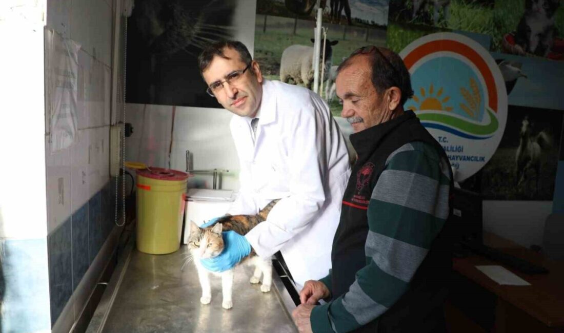 Söke İlçe Tarım ve Orman Müdürlüğü, evcil hayvanlara mikroçip takmanın