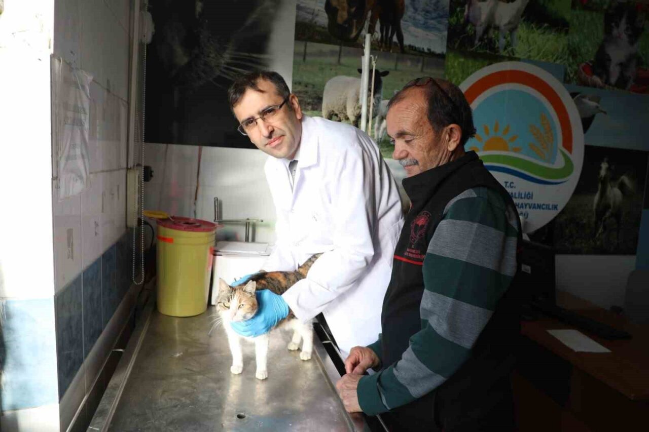 Söke İlçe Tarım ve Orman Müdürlüğü, evcil hayvanlara mikroçip takmanın