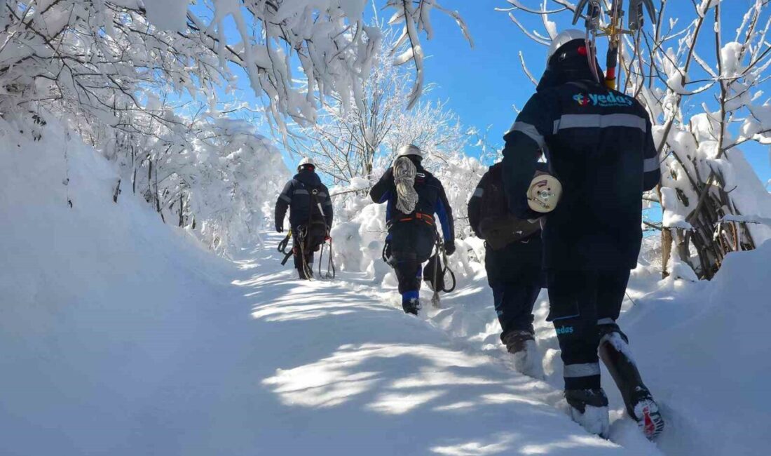 Samsun'da YEDAŞ, kış aylarında enerji kesintilerini önlemek için kapsamlı bir