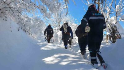 Samsun'da YEDAŞ, kış aylarında enerji kesintilerini önlemek için kapsamlı bir