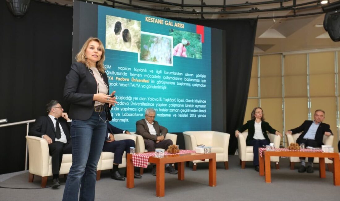 Bursa Büyükşehir Belediyesi, AB Coğrafi İşaretli Bursa kestanesinin geleceği için