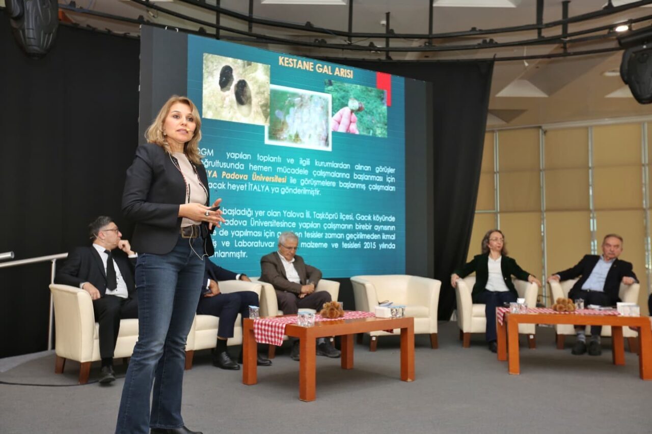Bursa Büyükşehir Belediyesi, Bursa kestanesinin geleceğini tartışmak için 'Bursa Kestanesinin