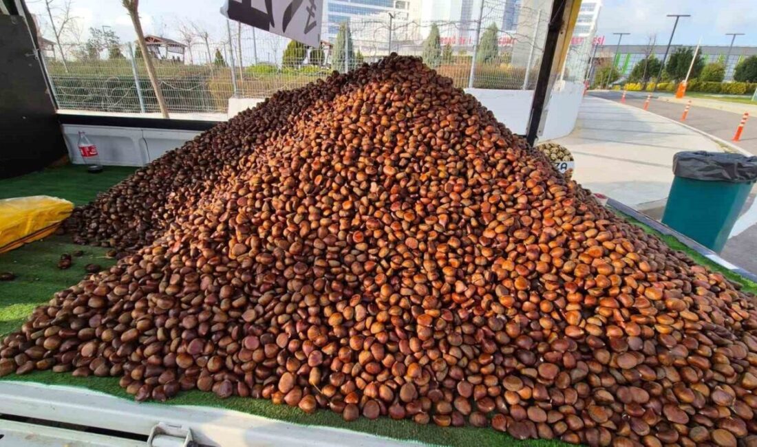 Süleymanpaşa’da Kestane Satışları Kışla Birlikte Artış Göstermeye Başladı Tekirdağ’ın Süleymanpaşa ilçesinde kışın gelmesiyle birlikte seyyar kestane satışları artış