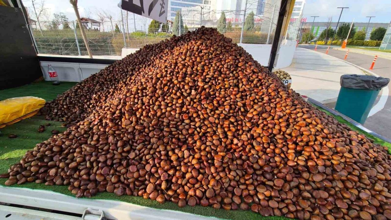 Tekirdağ’ın Süleymanpaşa ilçesinde kışın gelmesiyle birlikte seyyar kestane satışları artış