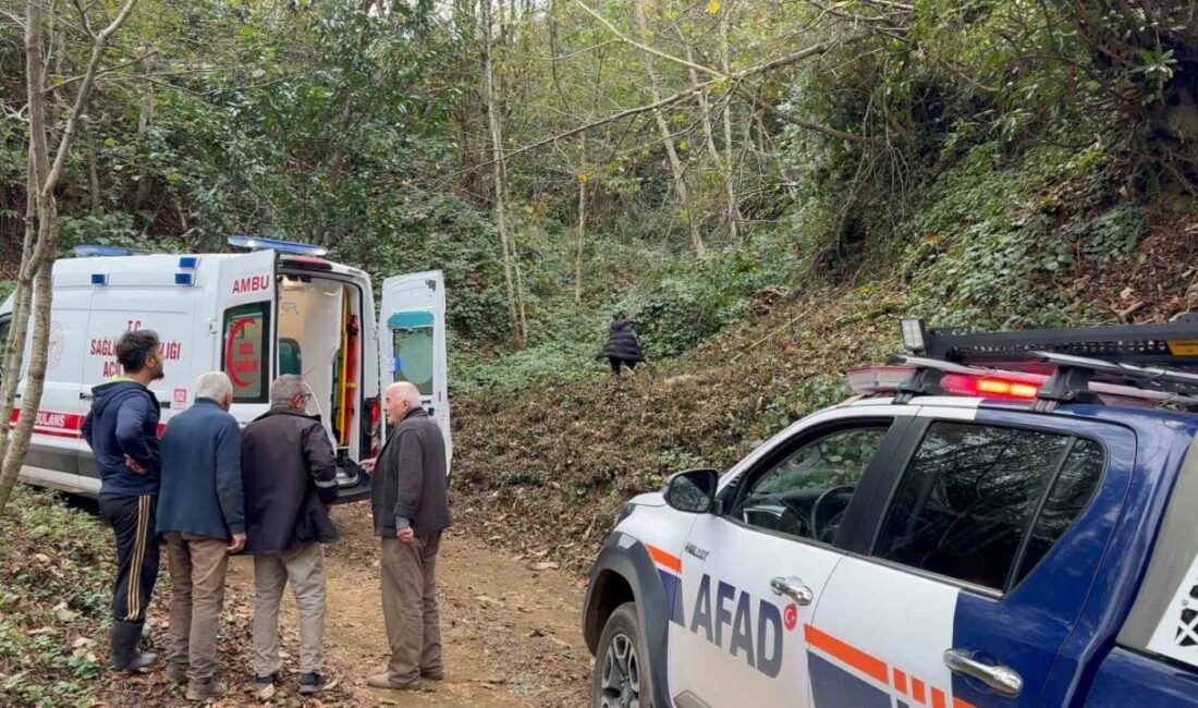 Rize’nin Pazar ilçesinde ağaç keserken meydana gelen kaza sonucunda bir vatandaş hastaneye kaldırıldı. Rize'nin Pazar ilçesinde Yalçın Doğan, ağaç keserken dalın kendisine çarpması