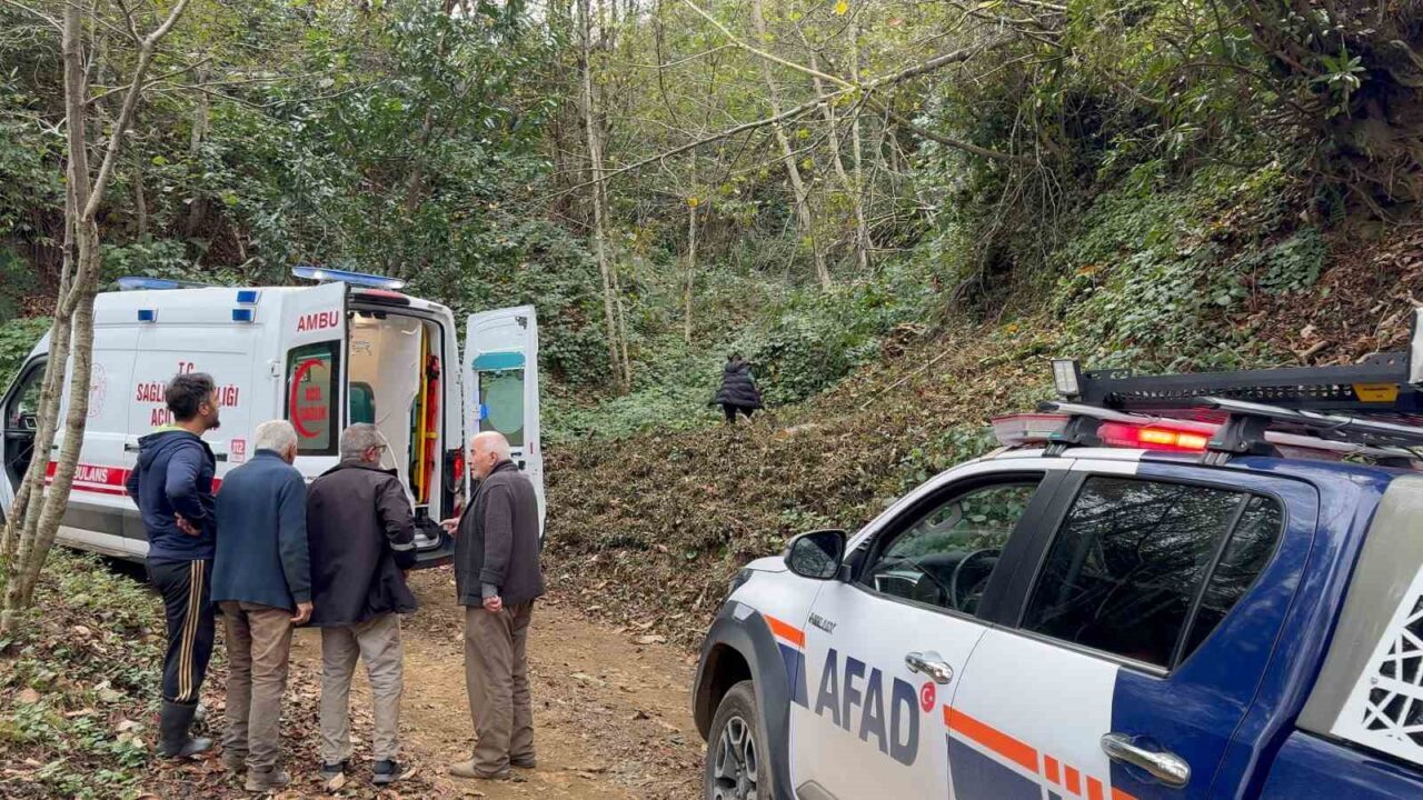 Rize'nin Pazar ilçesinde Yalçın Doğan, ağaç keserken dalın kendisine çarpması