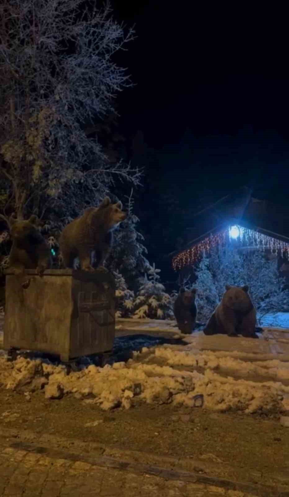 Bursa Uludağ'da bir anne ayı ve üç yavrusu, kar yağmasına