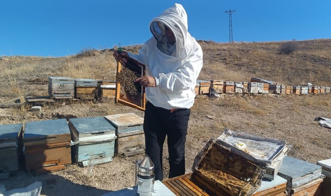 Adıyaman'da bu yıl 650 ton kaliteli bal üretildi. Arı Yetiştiricileri