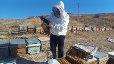 Adıyaman'da bu yıl 650 ton kaliteli bal üretildi. Arı Yetiştiricileri