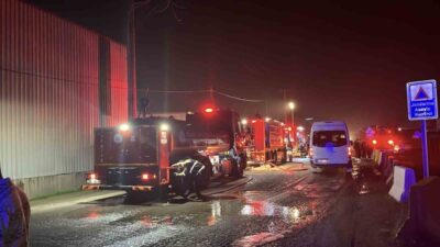 Kocaeli'nin Gebze ilçesindeki bir geri dönüşüm deposunda çıkan yangında N.T.