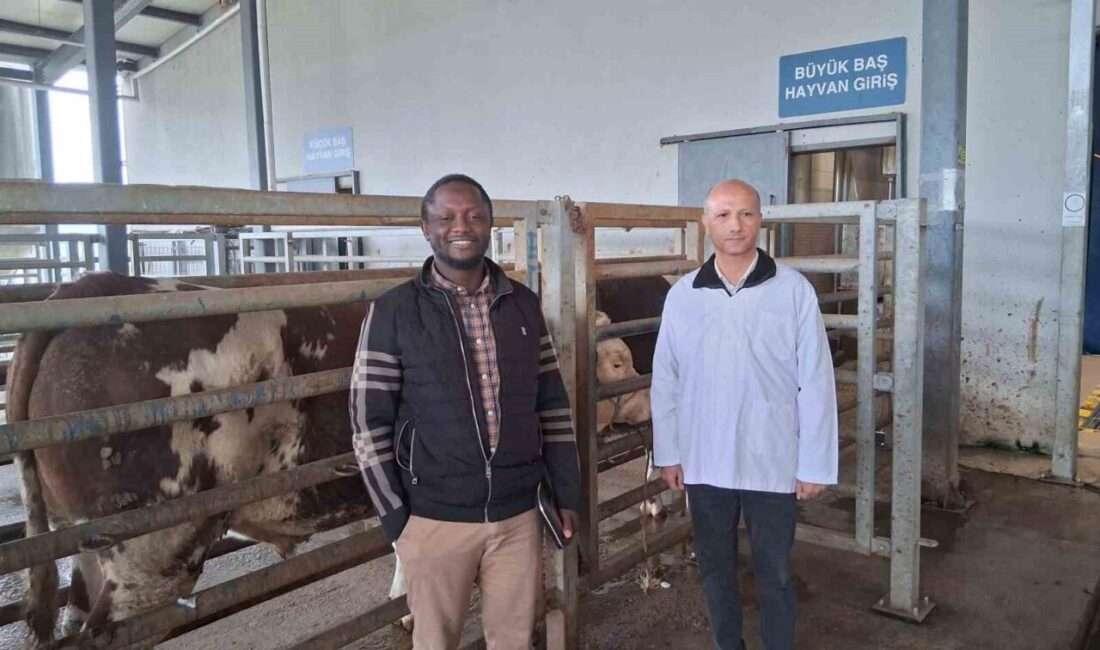 İslam Ülkeleri Standartlar ve Metroloji Enstitüsü (SMIIC) uzmanları, Kocaeli Büyükşehir