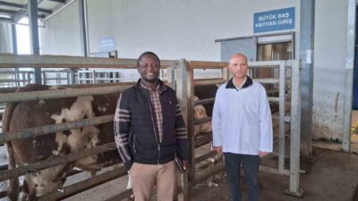 İzmit Merkez Mezbaha Tesisini inceleyen SMIIC uzmanları Dr. Awal Fusine