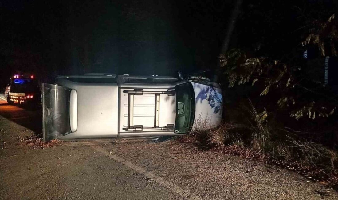 Bilecik’te Pikap Kontrolden Çıktı, Direğe Çarparak Durduruldu; Sürücü Yaralandı Bilecik'te seyir halindeki Yaşar K.'nın kullandığı pikap, kontrol kaybı nedeniyle