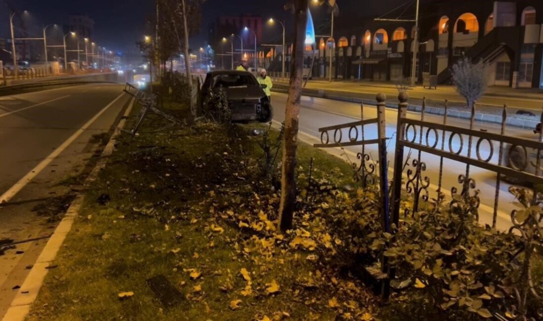 Malatya- Elazığ karayolu üzerinde, sürücü Ö.F.Ç. başıboş bir köpeğe çarpmamak