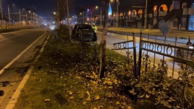 Malatya- Elazığ karayolu üzerinde, sürücü Ö.F.Ç. başıboş bir köpeğe çarpmamak