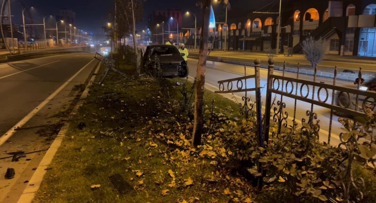 Malatya- Elazığ karayolu üzerinde, sürücü Ö.F.Ç. başıboş bir köpeğe çarpmamak