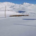 Şırnak’ta bir aile, dondurucu soğukta yaylada kalmayı sürdürüyor. Faraşin yaylasında hayvanlarına özen gösteriyorlar.