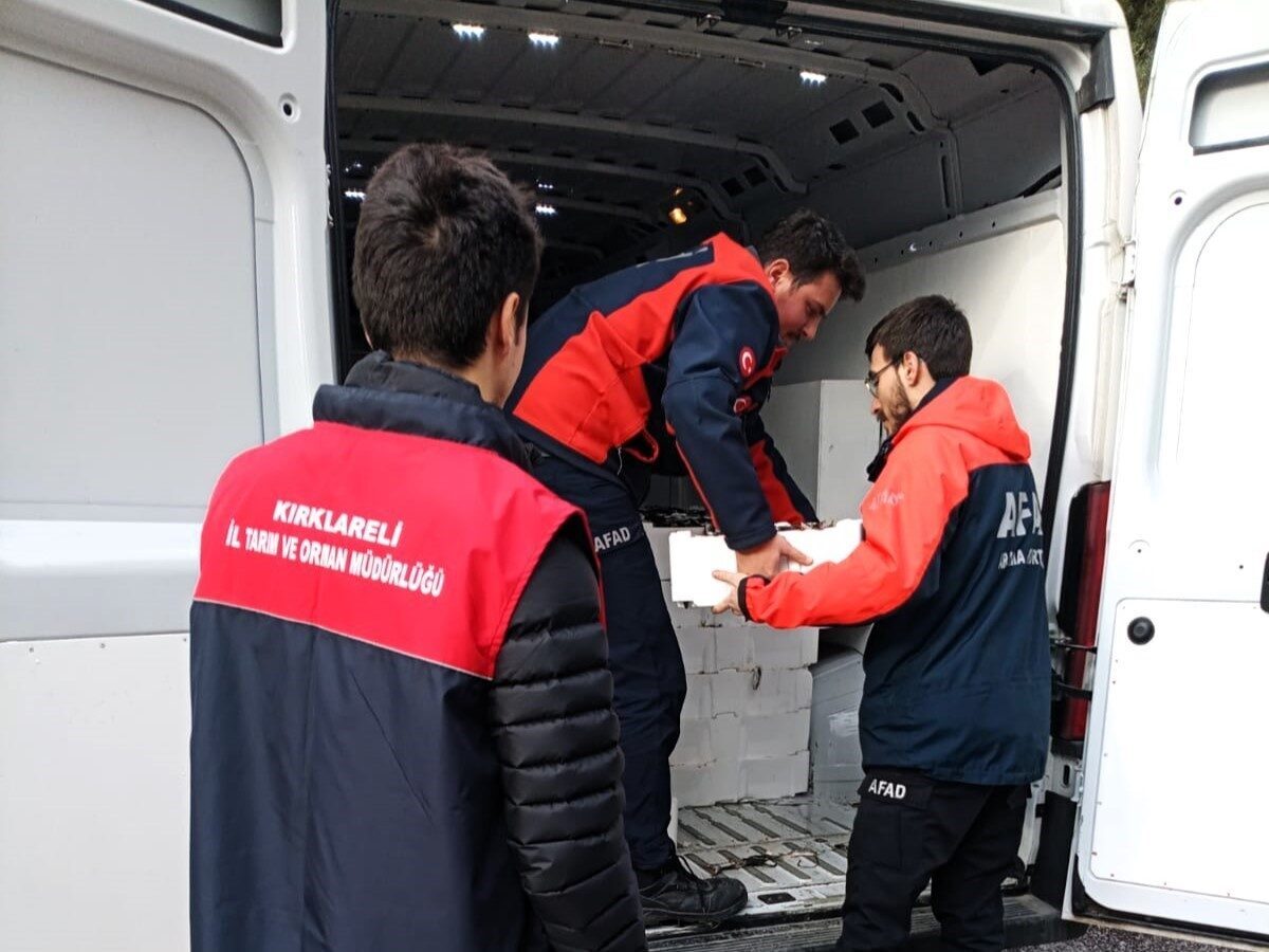 Kırklareli’nde gerçekleştirilen denetimlerde, yasal boyutun altında olduğu tespit edilen 307