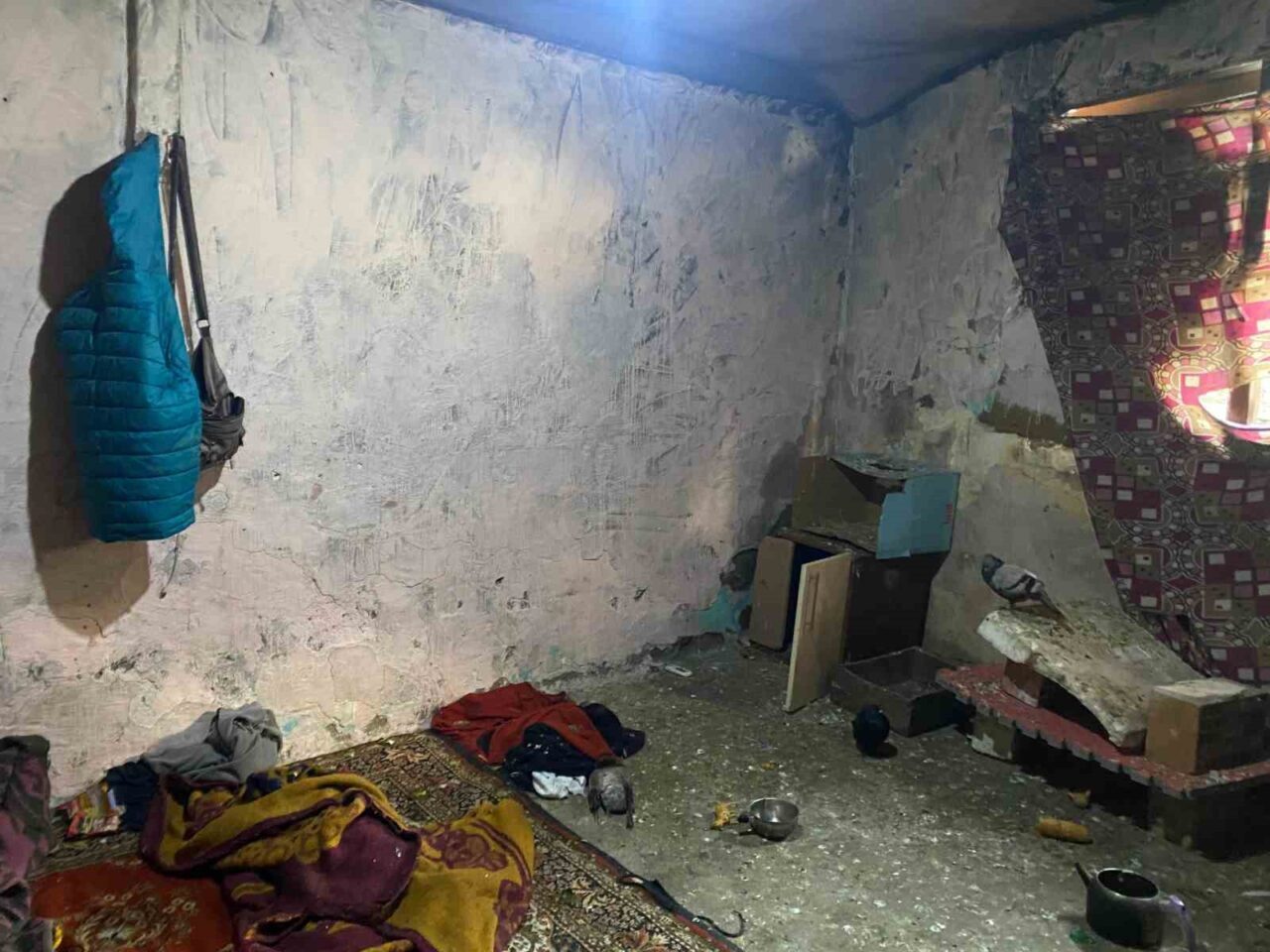 Engelli Kardeşler, Ankara’da Amcaları ve Yengeleri Tarafından Kümeste Mahkumiyetin Ardından Kurtarıldı