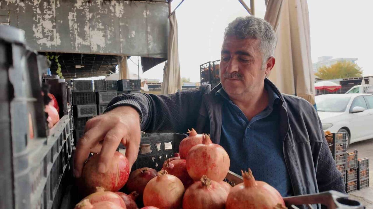 Siirt'teki Zivzik narı bu yıl kuraklık nedeniyle verim kaybı yaşadı.