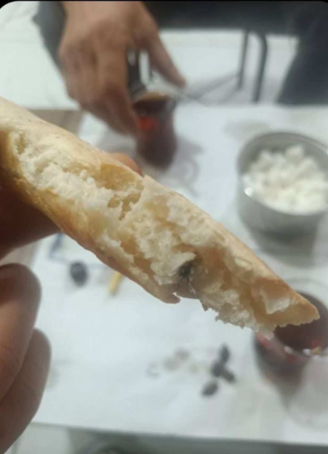 Siirt'in Kurtalan ilçesinde M.D., fırından aldığı ekmeğin içinde sinek buldu.
