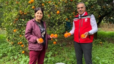 Aydın İl Tarım ve Orman Müdürlüğü, Kuyucak'ta portakal hasadında üreticilere