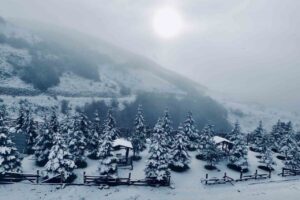 Samsun'un Ladik ilçesindeki Akdağ, yoğun kar yağışı sonrası kış turizmi