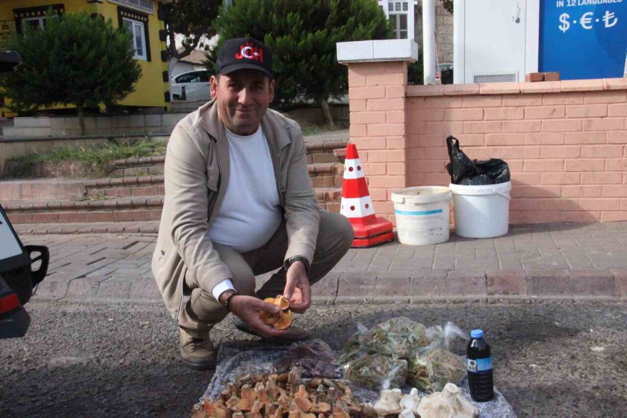 Aydın'ın Bozdoğan ilçesinde doğal mantarların lezzeti dikkat çekerken, zehirli türlerin