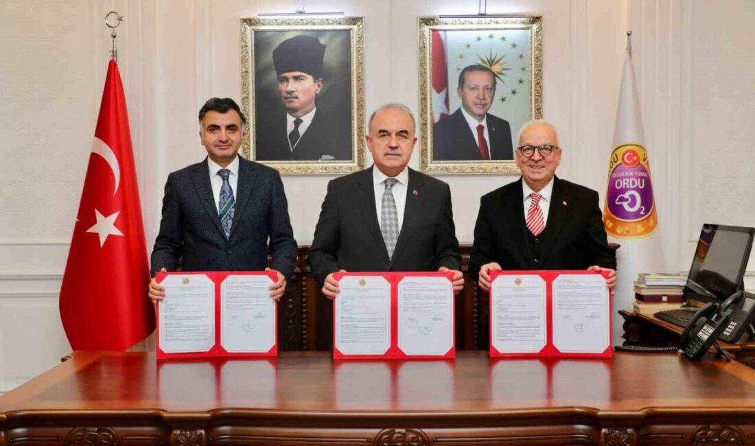 Ordu’da Gülyalı ilçesinde, iş adamı Şanser Şahin'in katkılarıyla 'Alibey Şanser