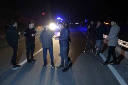 Malatya’da Sultansuyu Tarım İşletmesi’nden kaçan yarış atları trafik kazalarına yol açtı