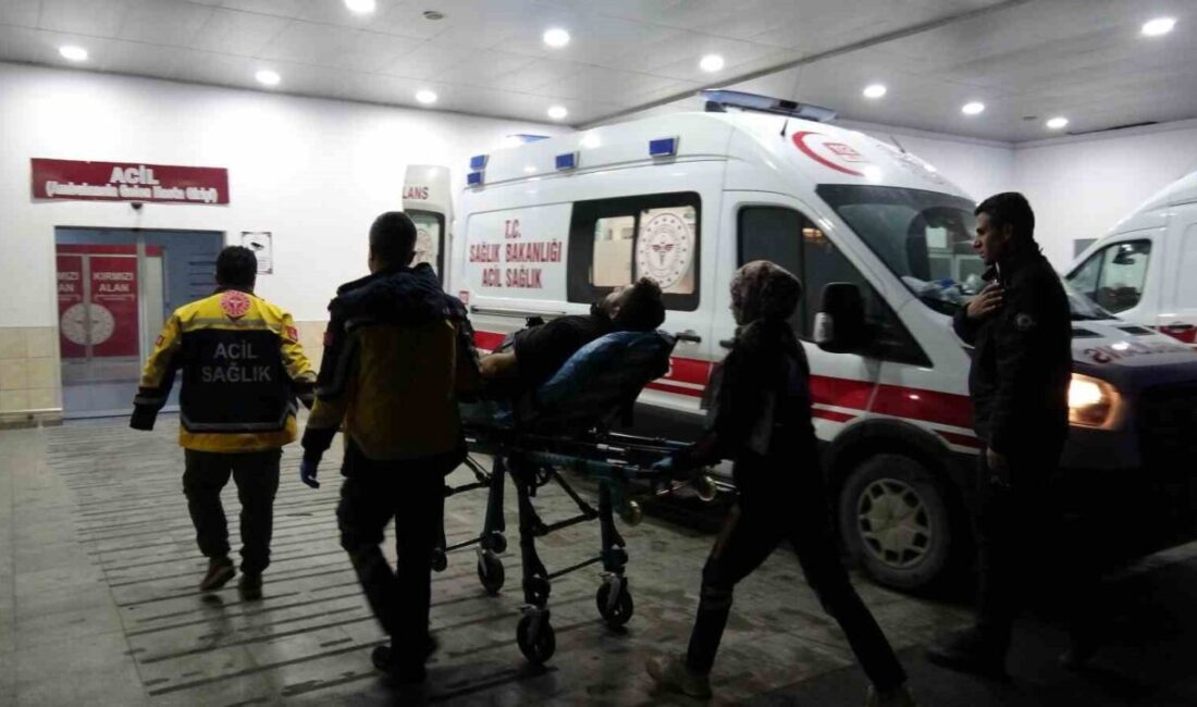 Malatya'nın Kale ilçesinde husumetliler arasında çıkan silahlı kavgada E.Ö., N.Ö.