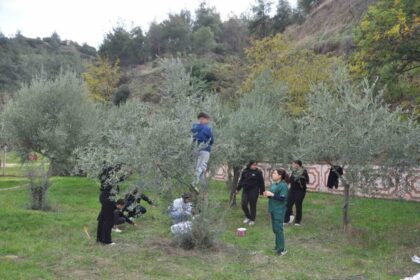 Manisa’da “Zeytin 5.0 Projesiyle” çocuklar hem öğrendi hem üretti
