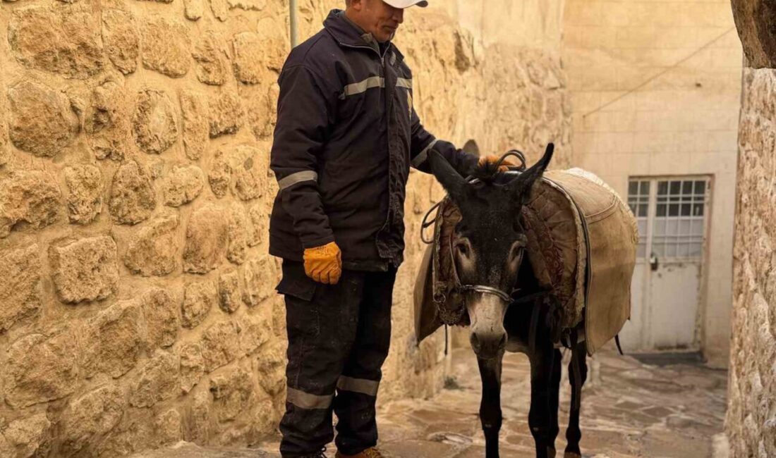 Mardin’in Artuklu İlçesinde Eşeklerin Yerini Paletli Temizlik Araçları Alacak Mardin’in Artuklu ilçesinde, temizlik çalışmalarında kullanılan kadrolu eşeklerin yerini paletli